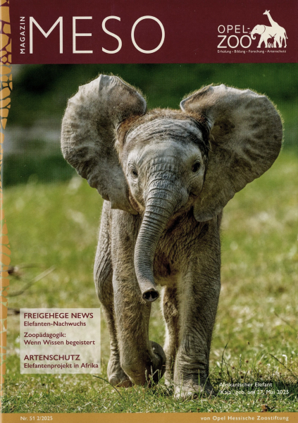 Opel-Zoo Meso 2/2025